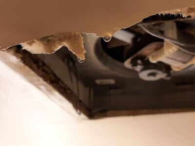 Professional water damage restoration services in Vancouver